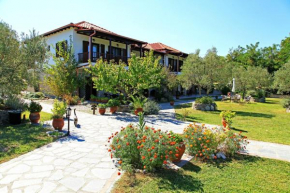 Гостиница Dionysus Apartments  Стагира-Акантос